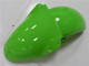 2000-2002 Kawasaki ZX6R Motorcycle Fairings - Green Black Canada
