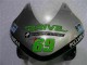 2003-2004 Honda CBR600RR Motorcycle Fairing - Silver Green Glossy Black Canada