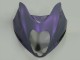 1996-2007 Suzuki GSXR 1300 Hayabusa Motorcycle Fairings - Chameleon Grey Dazz Pearl Purple Canada