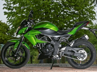 2015-2016 Kawasaki Z250/Z300 Motorcycle Fairings - Green Matte Black Canada