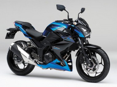 2015-2016 Kawasaki Z250/Z300 Motorcycle Fairings - Blue Matte Black Canada
