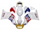 1984-1987 Suzuki RG400 RG500 RG400/500 Motorcycle Fairings - White Red Blue Yellow Motul Michelin Pepsi Canada
