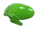 2023-2025 Kawasaki ZX6R Motorcycle Fairings - Green Black Canada