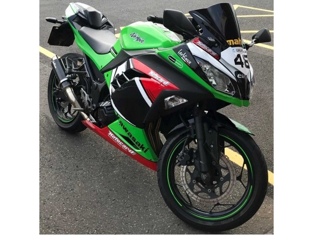 2013-2017 Kawasaki EX300 Motorcycle Fairings - Green White Red Black Elf Canada