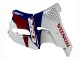 1992-1993 Honda CBR900RR 893 Motorcycle Fairings - White Red Dark Blue Canada