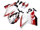2011-2014 Ducati 1199 Motorcycle Fairings - White Red Green Glossy Black Canada