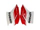2015-2020 Ducati 1299 Motorcycle Fairings - White Red Green Matte Black Canada