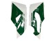 2015-2020 Ducati 1299 Motorcycle Fairings - White Red Green Matte Black Canada