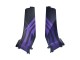 2005-2006 Honda CBR600RR Motorcycle Fairings - Matte Black Purple Canada