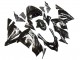2004-2005 Kawasaki ZX10R Motorcycle Fairings - Glossy Black Ninja Canada