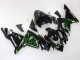 2004-2005 Kawasaki ZX10R Motorcycle Fairings - Black with Green Flame Ninja Canada