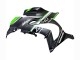 2016-2020 Kawasaki ZX10R Motorcycle Fairings - Matte Black Green White Ninja Canada