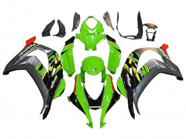 2016-2020 Kawasaki ZX10R Motorcycle Fairings - Green Red Grey Canada