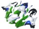 2021-2025 Kawasaki ZX10R Motorcycle Fairings - White Green Blue Black Canada