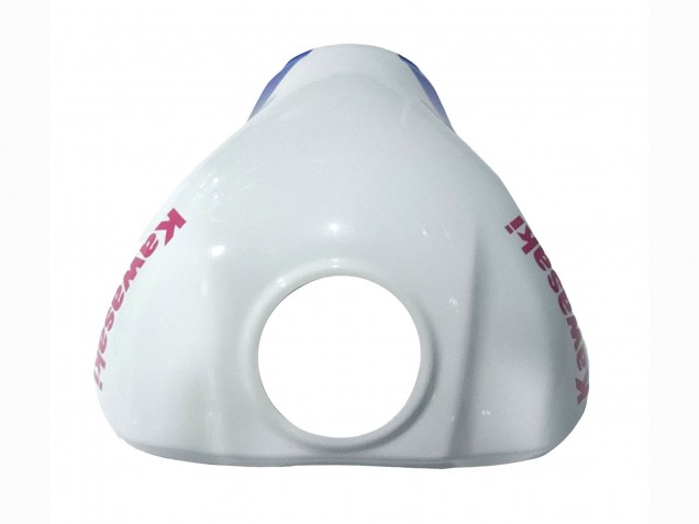 2021-2025 Kawasaki ZX10R Motorcycle Fairings - White Green Blue Black Canada