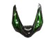 2005-2006 Kawasaki ZX6R Motorcycle Fairing - Glossy Black Green Flame Canada
