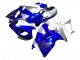1996-2007 Suzuki GSXR 1300 Hayabusa Motorcycle Fairings - Blue Silver Hayabusa Canada