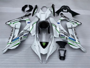 2016-2020 Kawasaki ZX10R Motorcycle Fairings - White Silver Green Blue Black Trick Star Canada