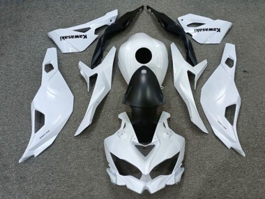 2019-2025 Kawasaki ZX25R ZX-25R Motorcycle Fairings - White Matte Black Canada