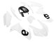 2020-2024 Aprilia RS660 Motorcycle Fairing - White Canada